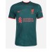 Liverpool Roberto Firmino #9 Tredje Matchtröja 2022-23 Kortärmad